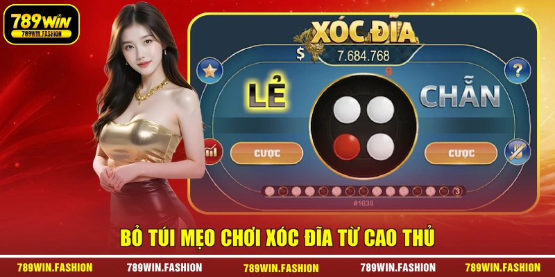 Bỏ túi mẹo chơi xóc đĩa từ cao thủ
