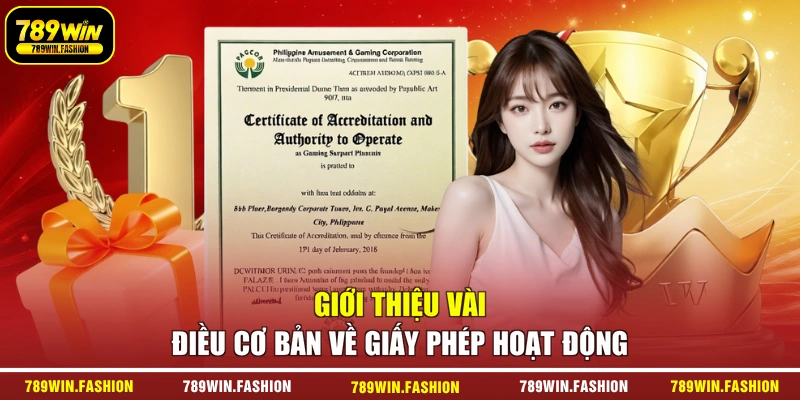 Giới thiệu vài điều cơ bản về giấy phép hoạt động