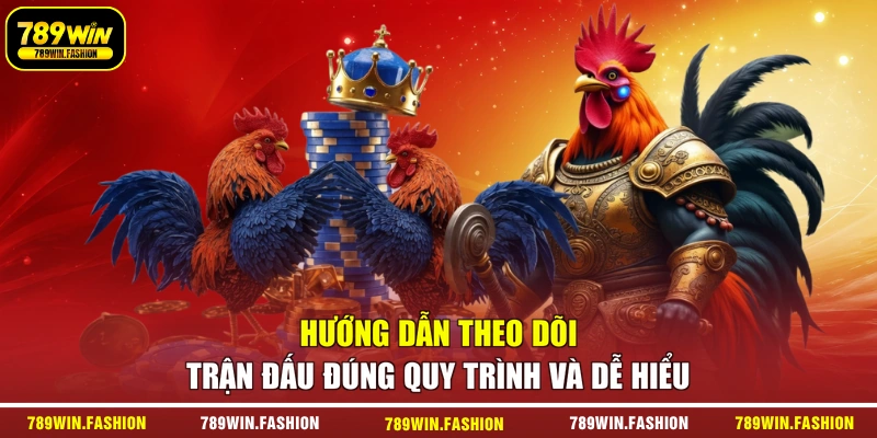 Hướng dẫn theo dõi trận đấu đúng quy trình và dễ hiểu